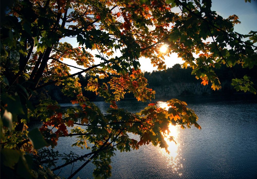 Фотография автора Ella