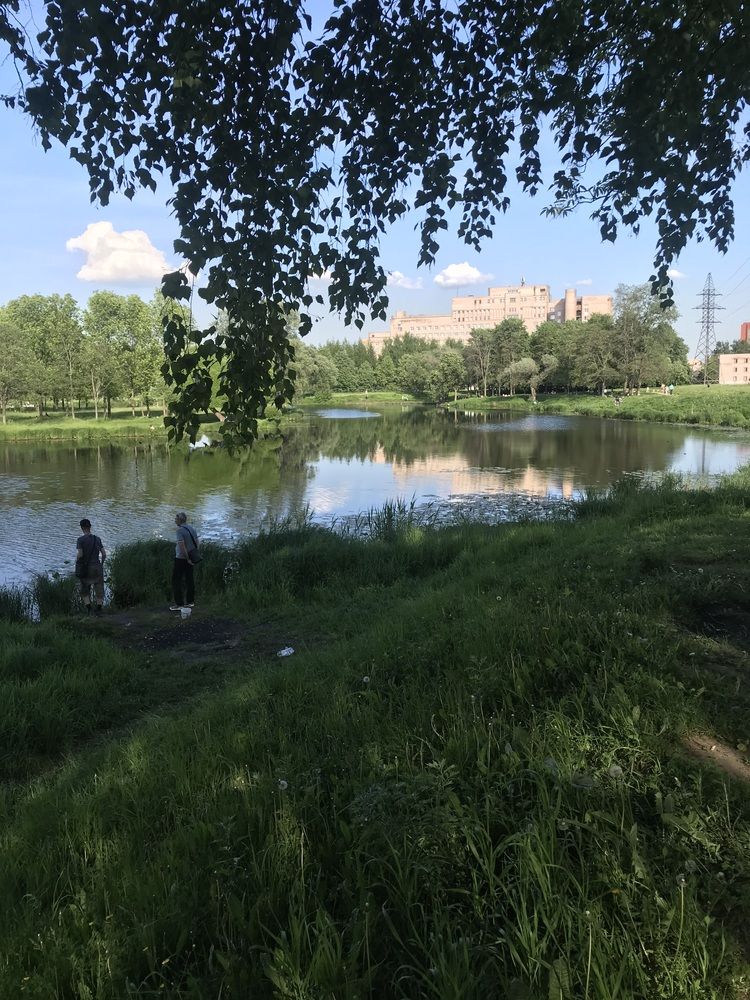 Photograph by Елена