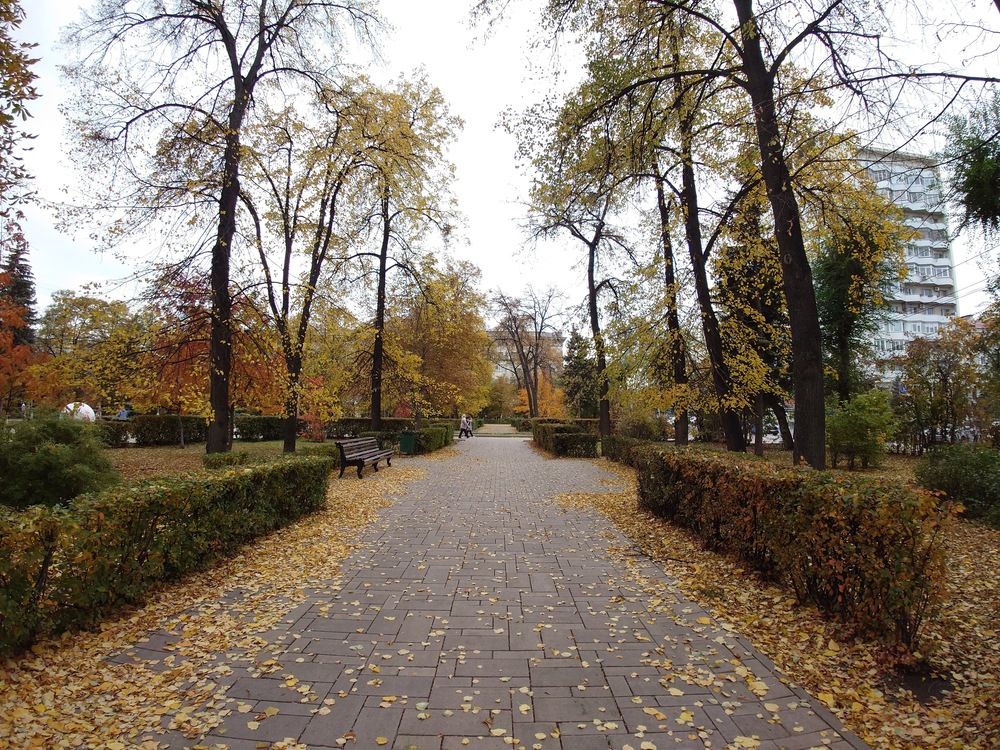 Photograph by Артем Харисов