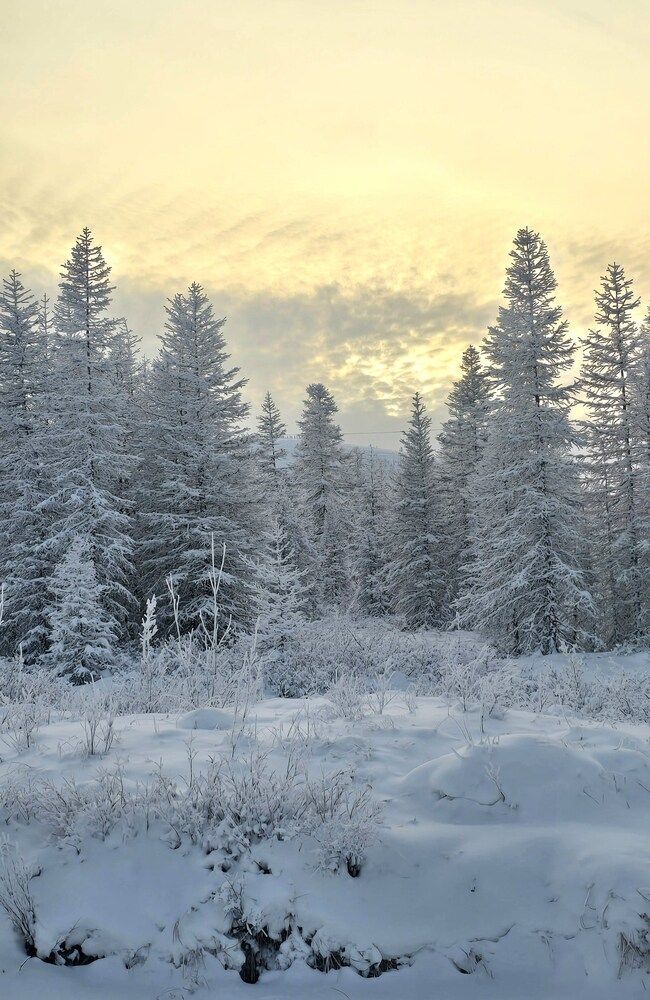 Фотография автора Лариса Ким