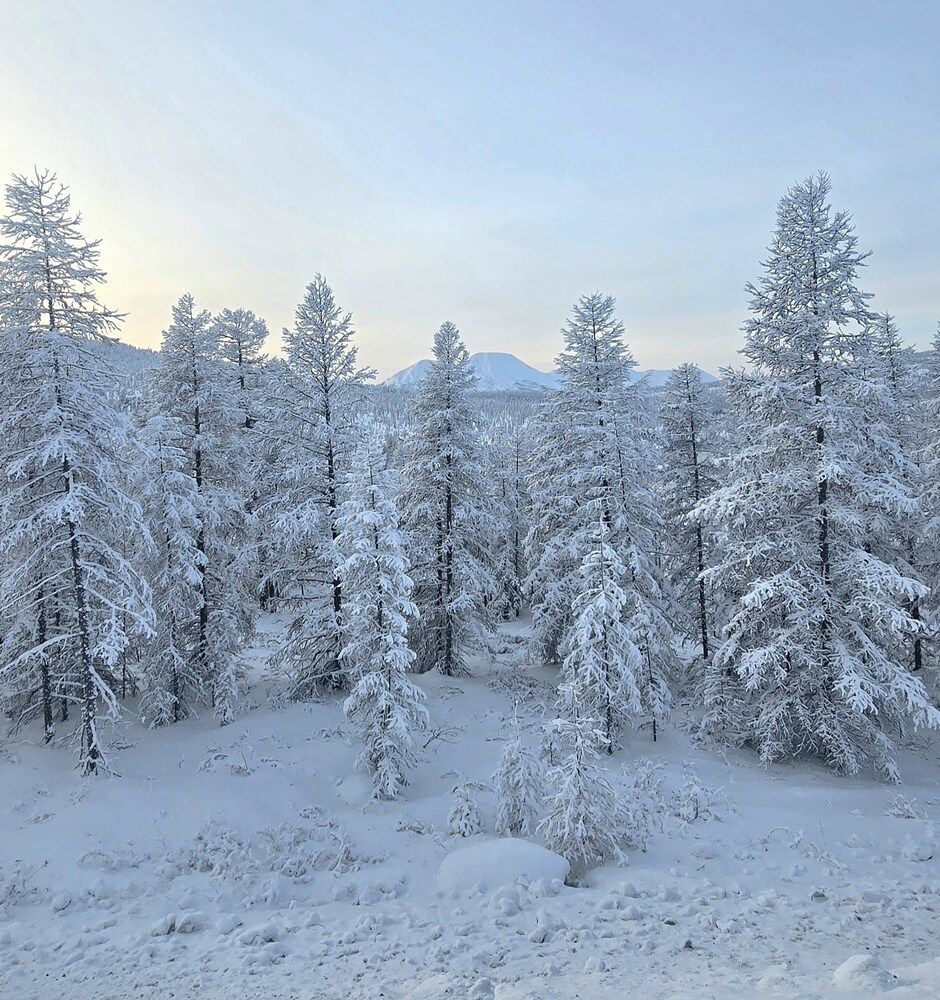 Фотография автора Лариса Ким