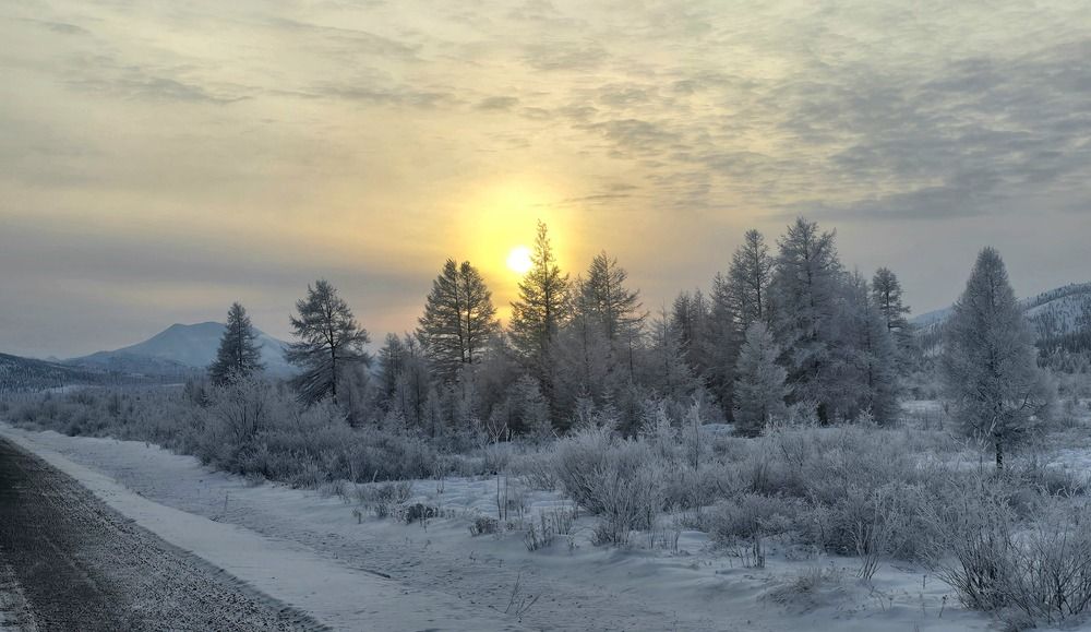 Фотография автора Лариса Ким