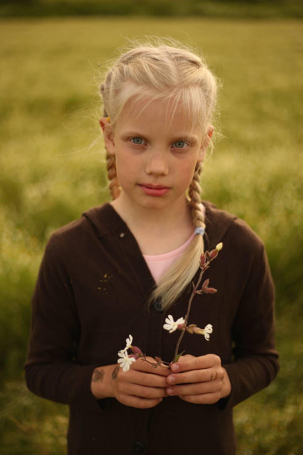 Photo #13059247