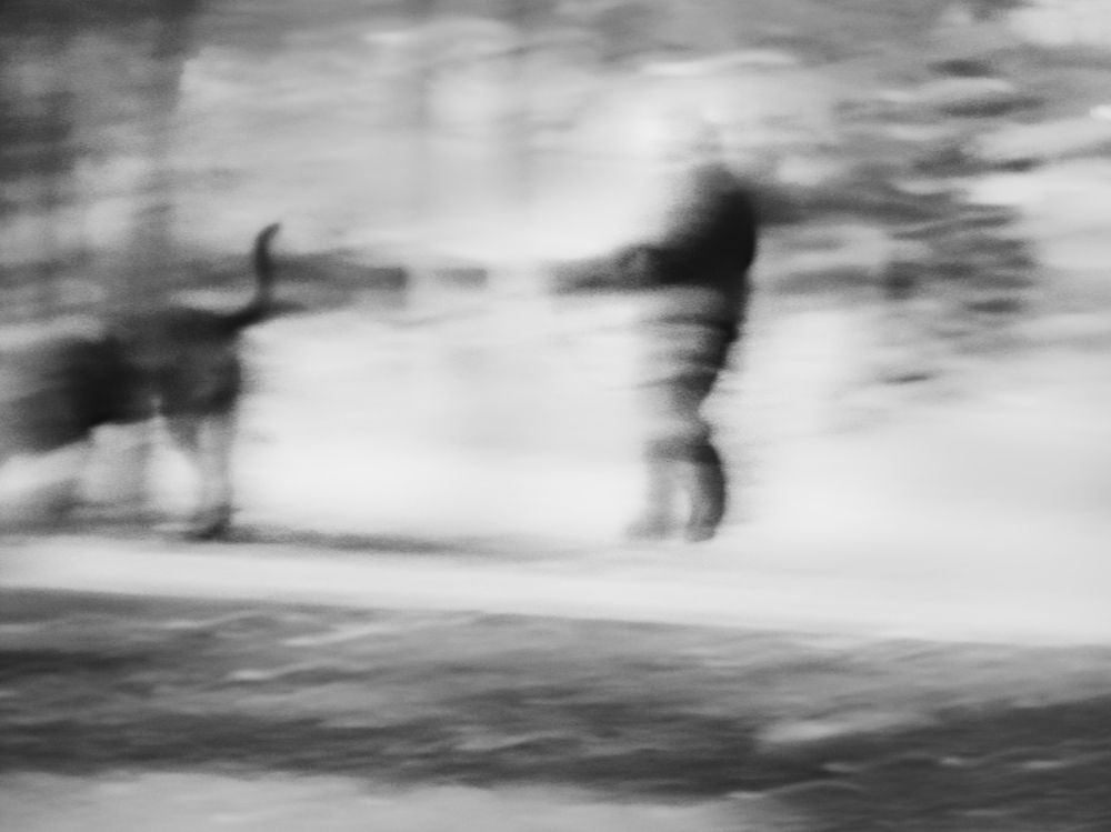 Фотография автора Vera Eremeeva