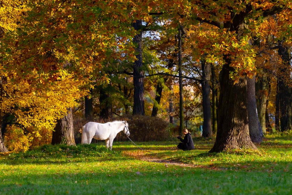 Фотосессия в старом парке.