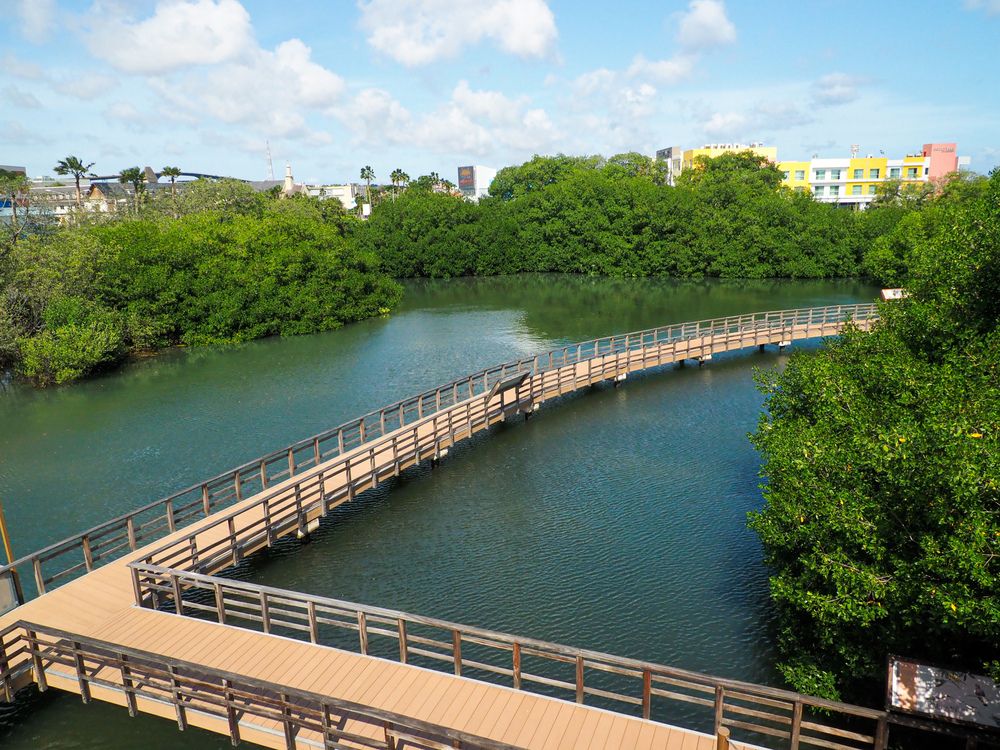 Фотография автора Camilo Rojas