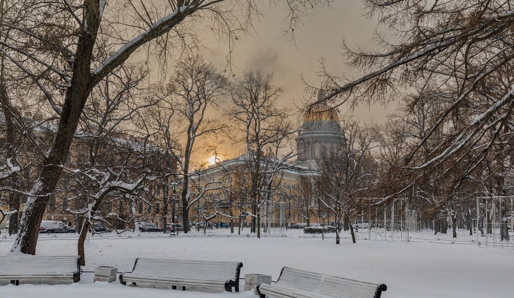 Photo #13059279