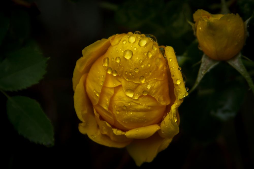 Photograph by Татьяна Гороховская