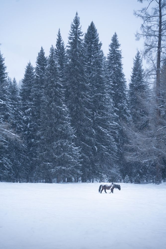 Photograph by Li Changfeng