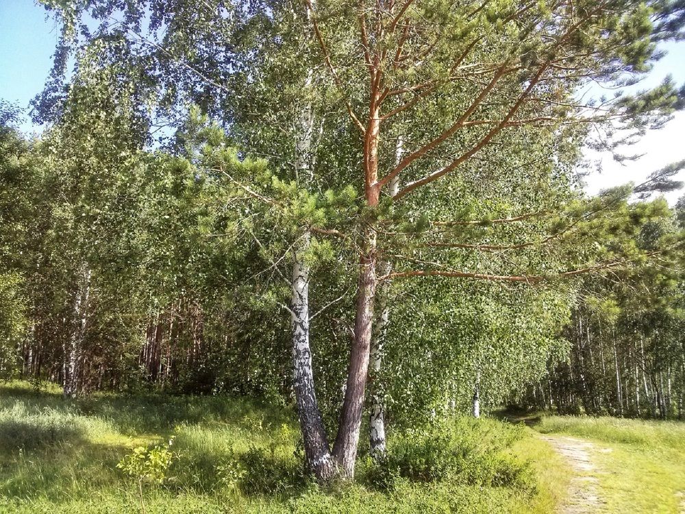 Родственники