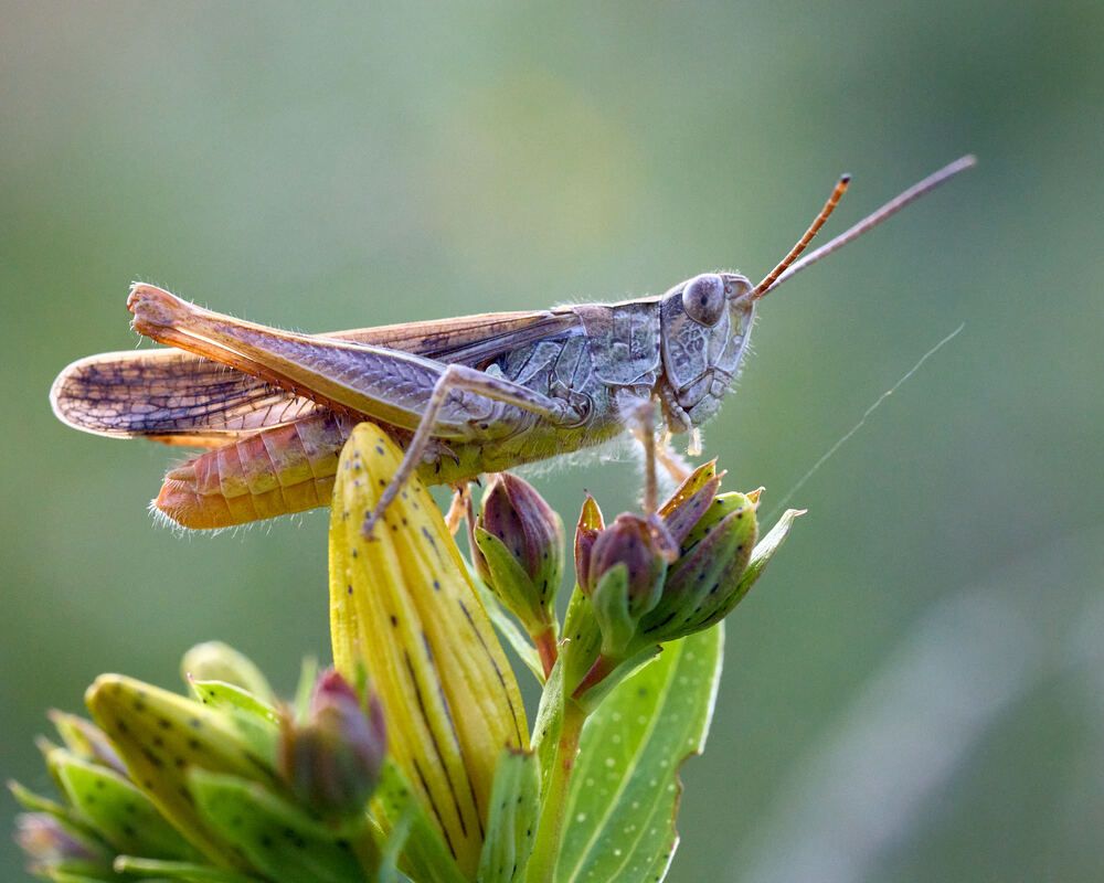 Photograph by Mikhail Khmelevskiy