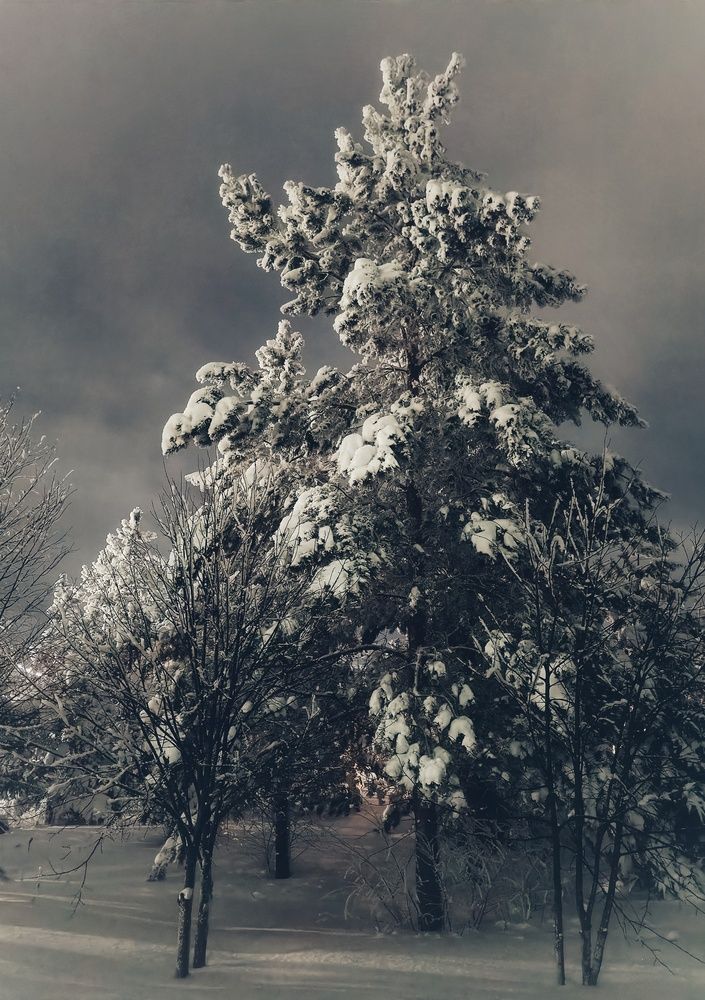 Фотография автора Ольга Кунакова