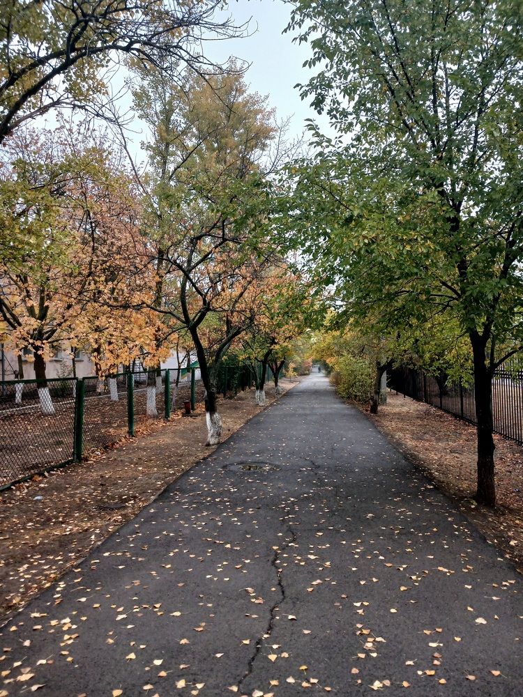 Photograph by Татьяна Королёва