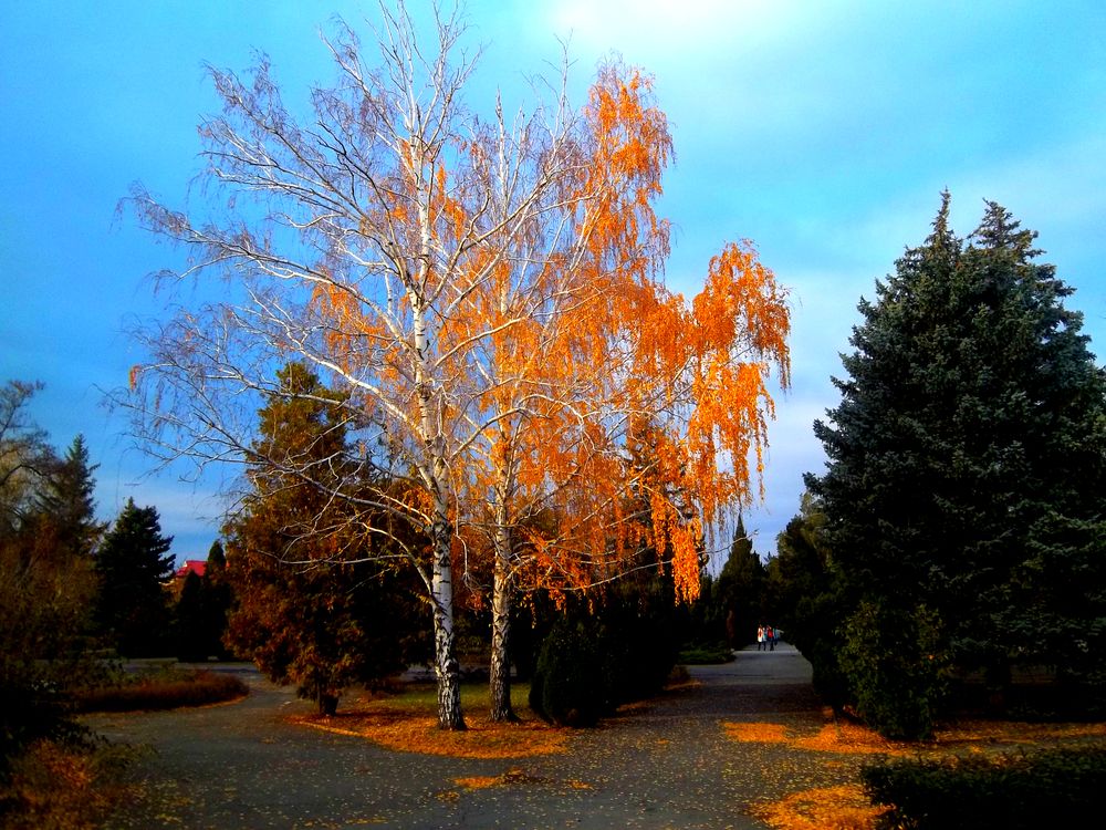 Photograph by Татьяна Королёва