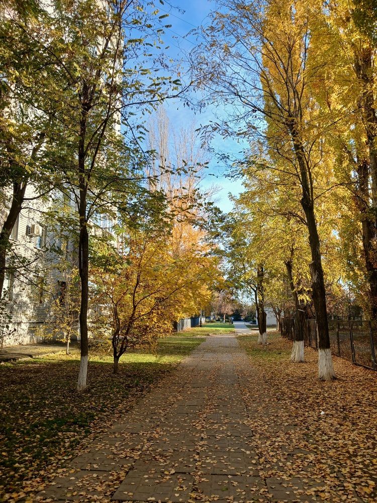 Photograph by Татьяна Королёва