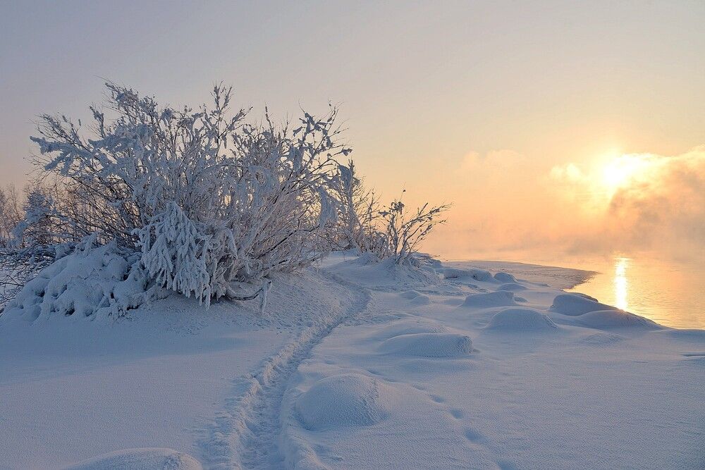 Photograph by Людмила