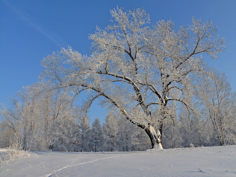 Photograph by Людмила
