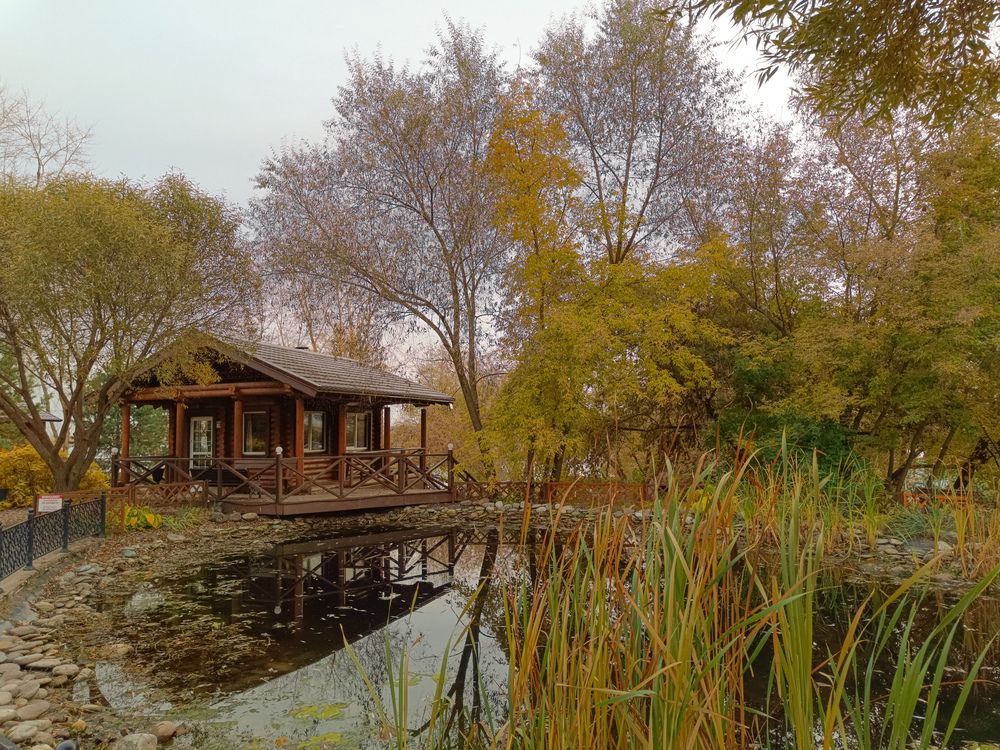 Фотография автора Ольга Кунакова