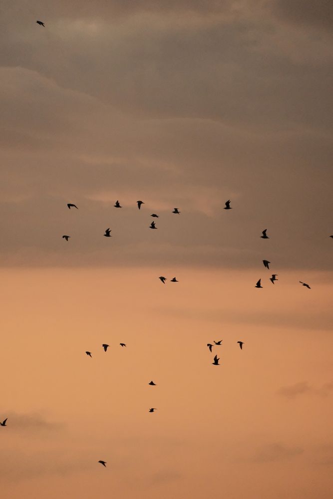 Photograph by Александр Женухин