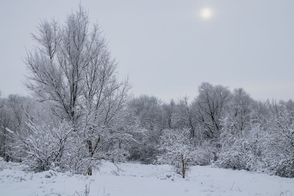 Photograph by Игорь Кабанов