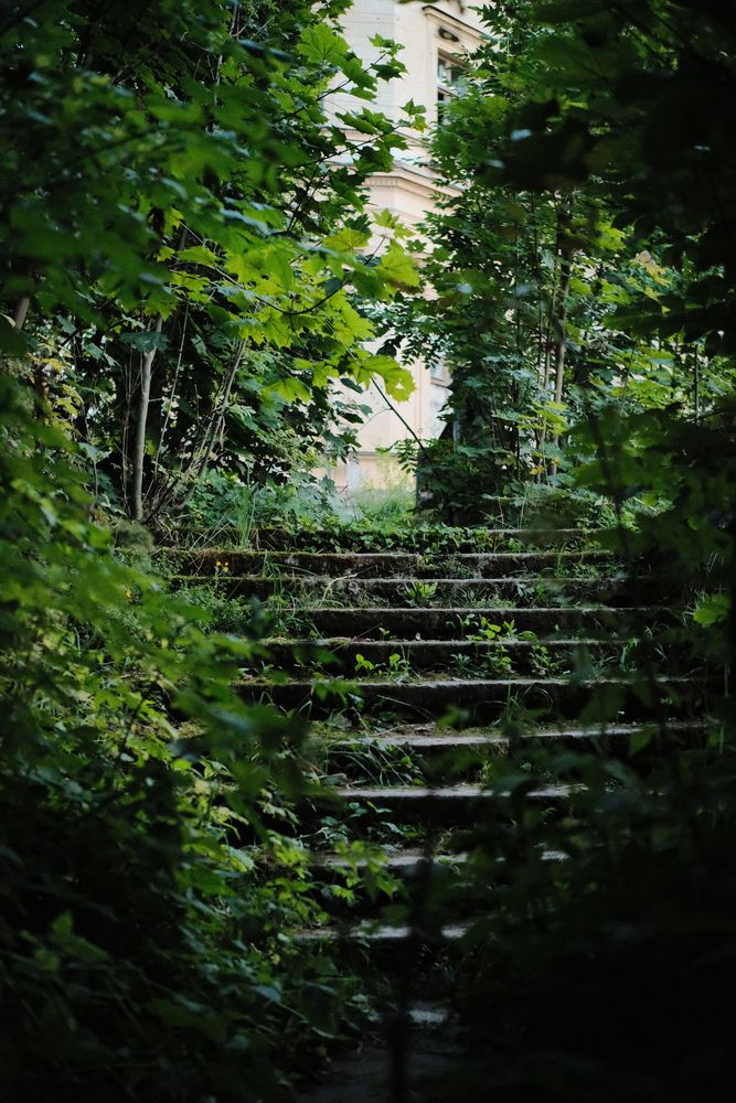 Photograph by Александр Женухин
