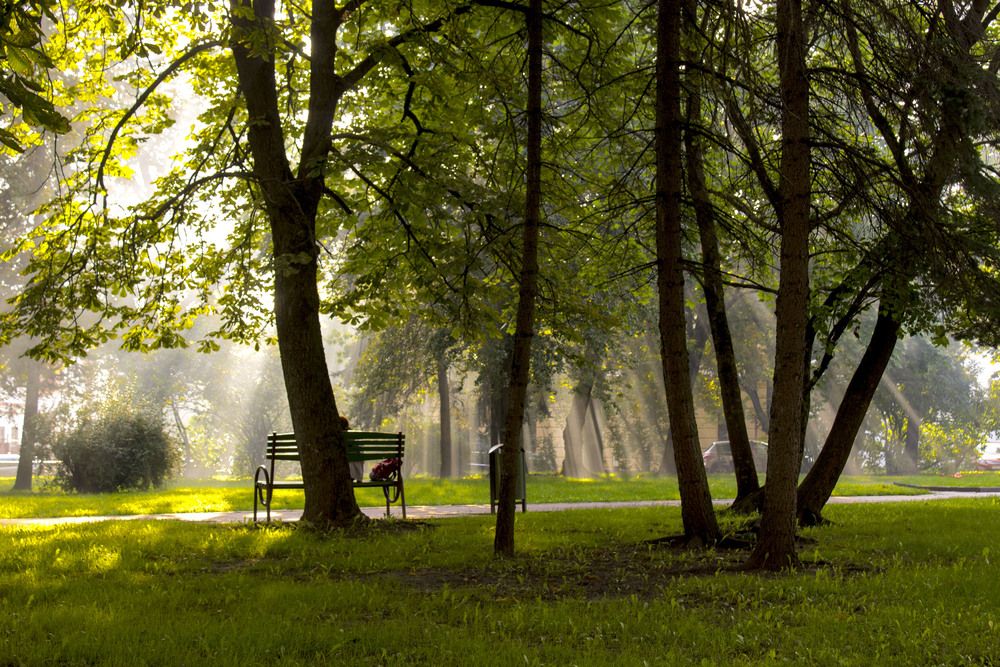 Фотография автора Нестеренко Светлана