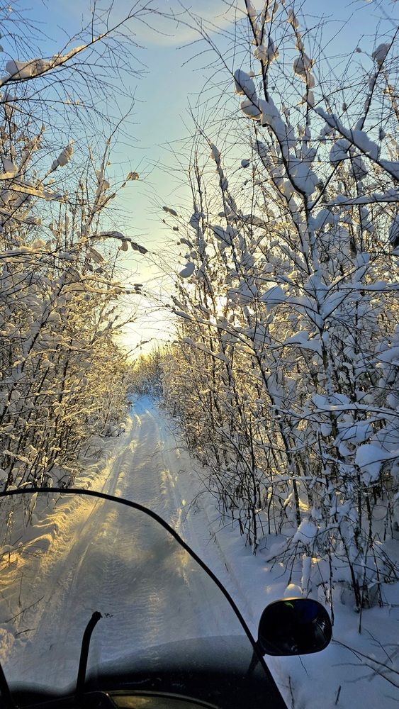 Зимняя сказка в Московской области