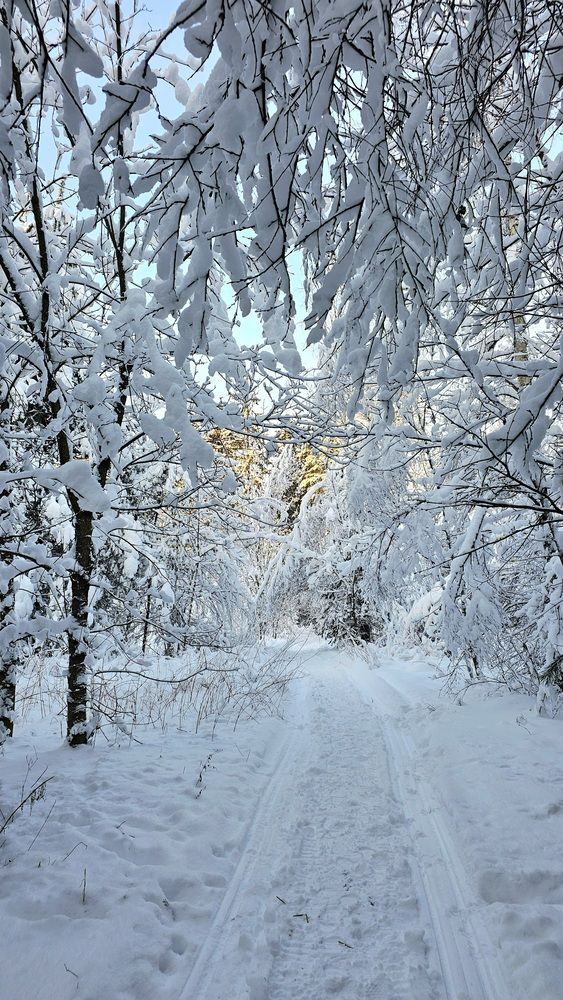 Зимняя сказка в Московской области
