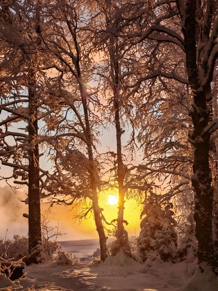 Фотография автора OLga Piirainen