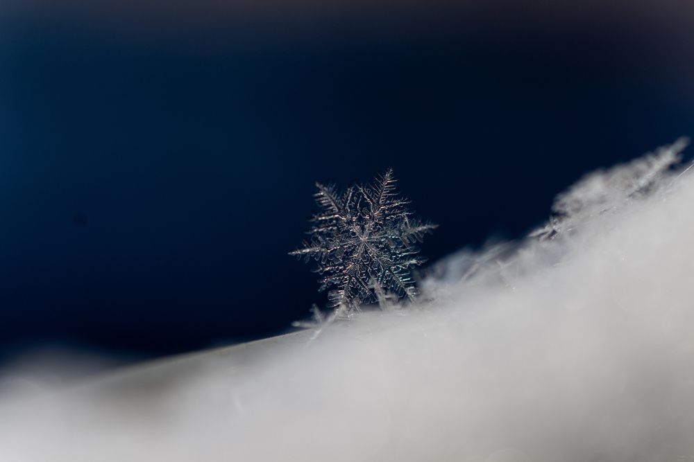 Photograph by Илья Кулаков