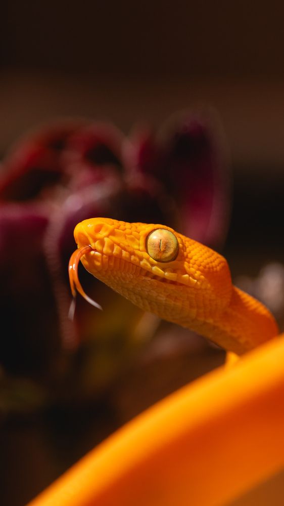 Photograph by Matei Firică