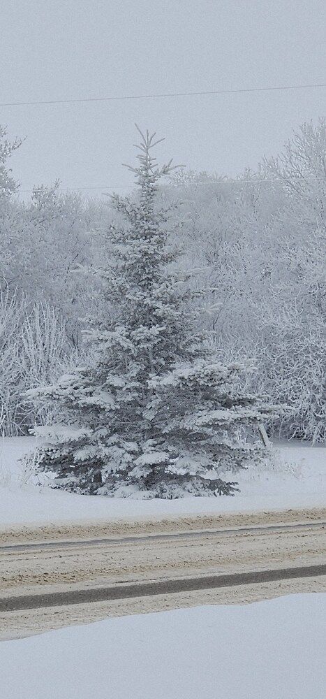 Фотография автора Al