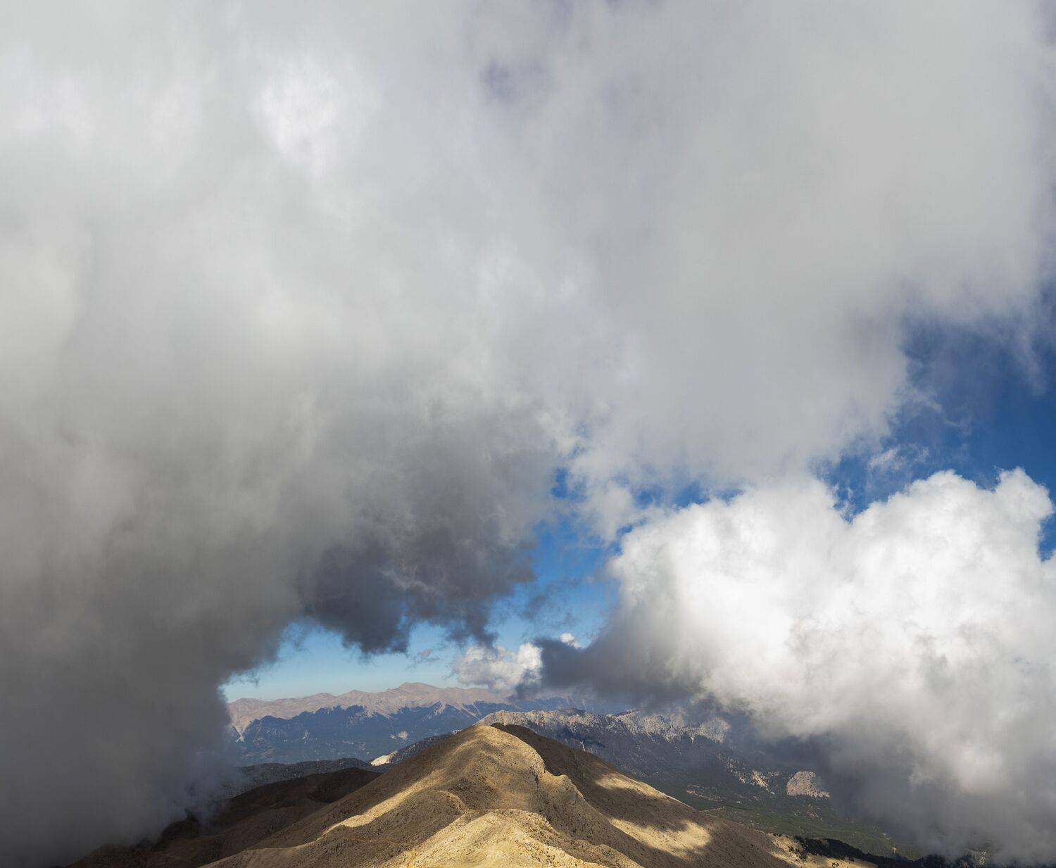 Photo #13059464
