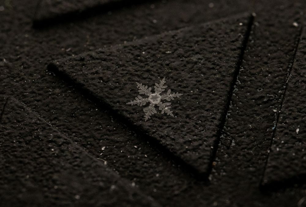 Photograph by Дмитрий Константинов
