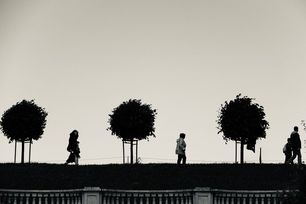 Photo #13059499