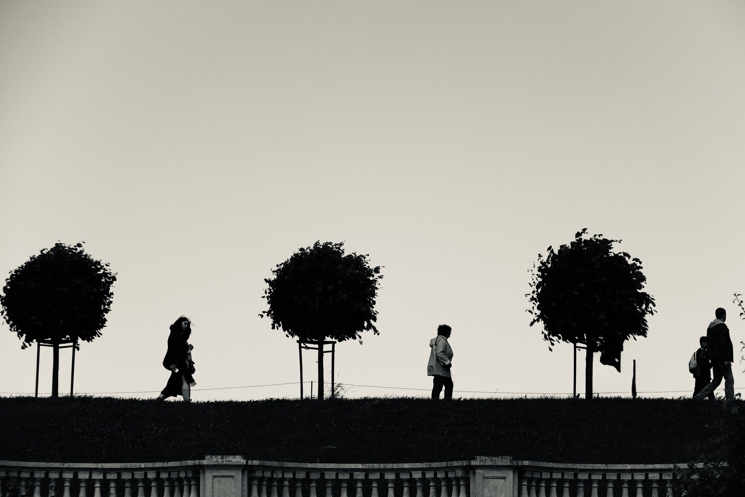 Photo #13059499