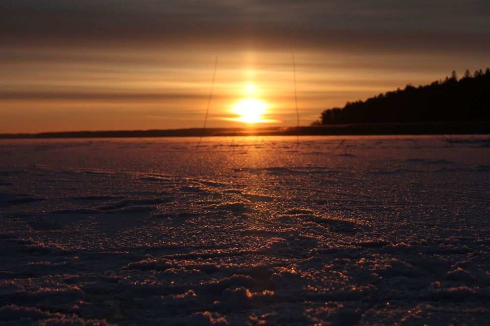 Photo #13059510