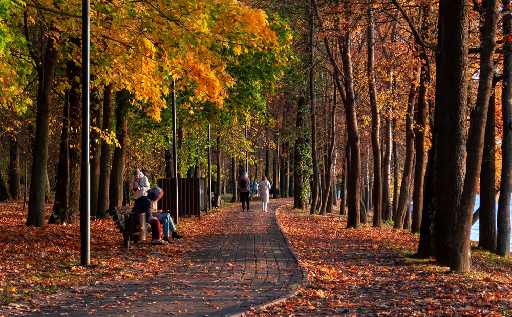 Photograph by Диана Бородзе