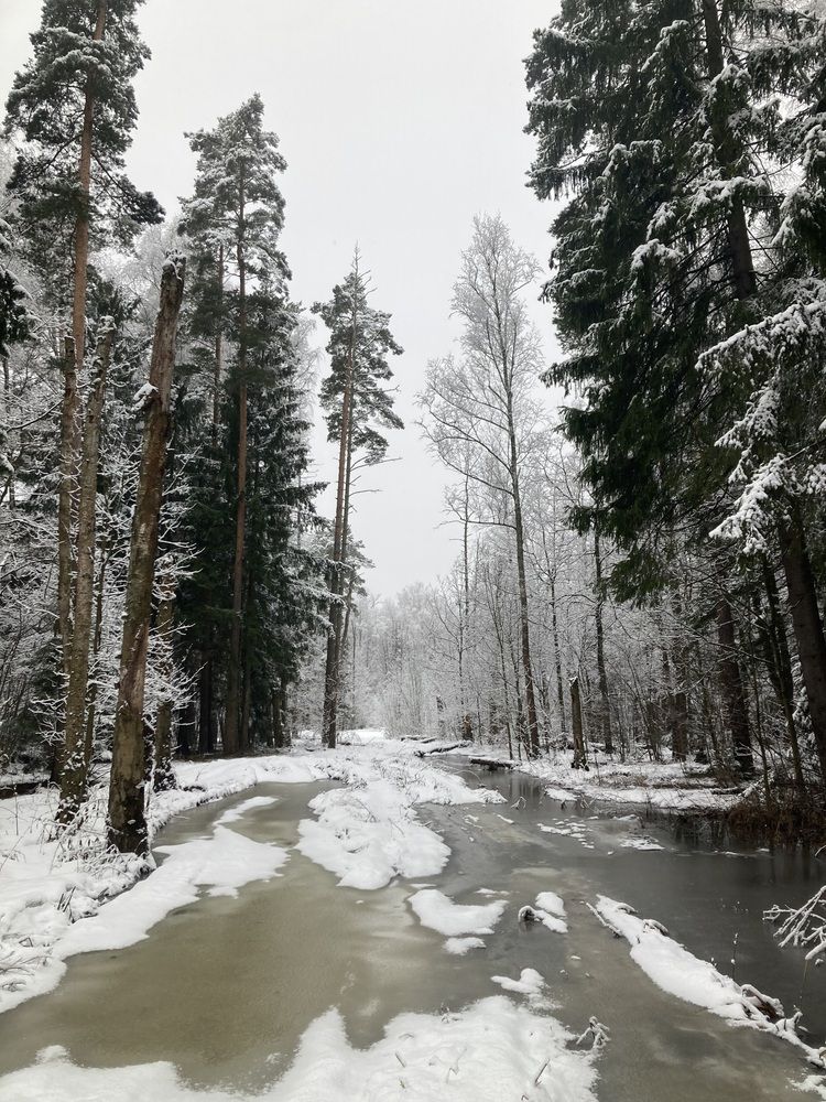 Photograph by Светлана Парамонова