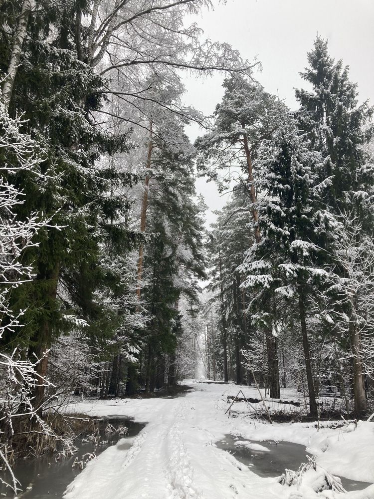 Photograph by Светлана Парамонова