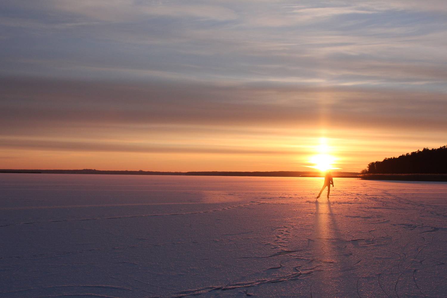 Photo #13059517