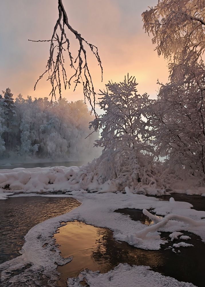 Фотография автора OLga Piirainen