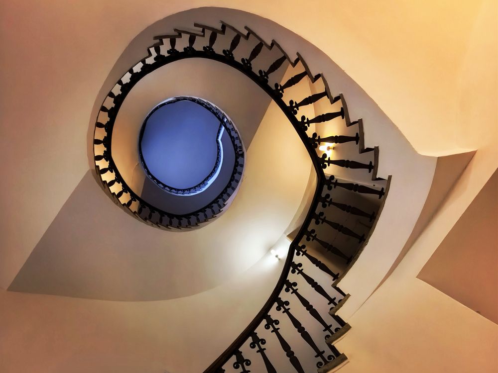 Птичий взор