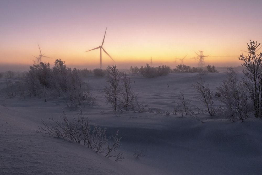 Photograph by Татьяна Эрбутаева