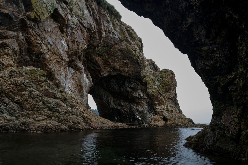Photograph by Daniil Matveev