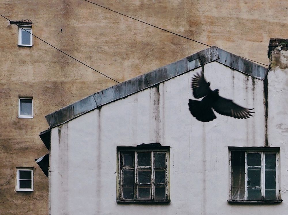 Photograph by Анна Буторина