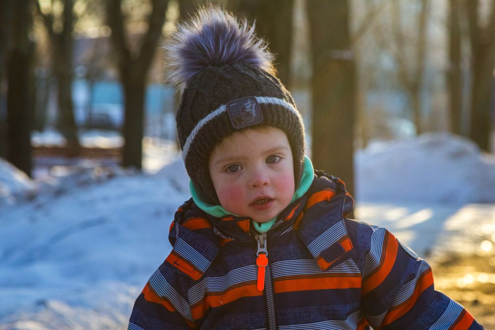 Фотография автора Алексей Соколов