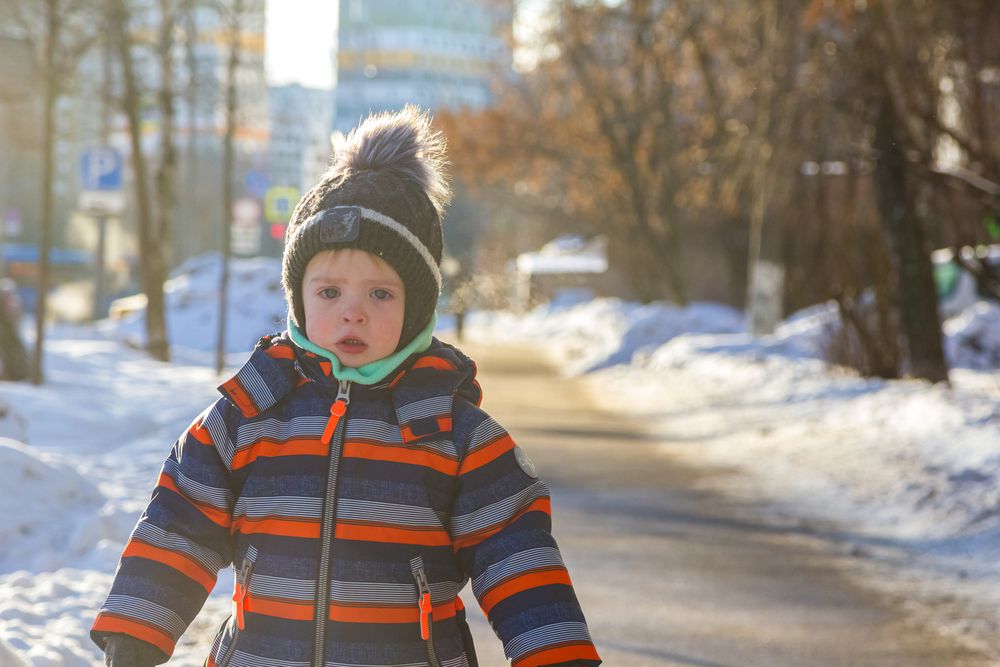 Фотография автора Алексей Соколов