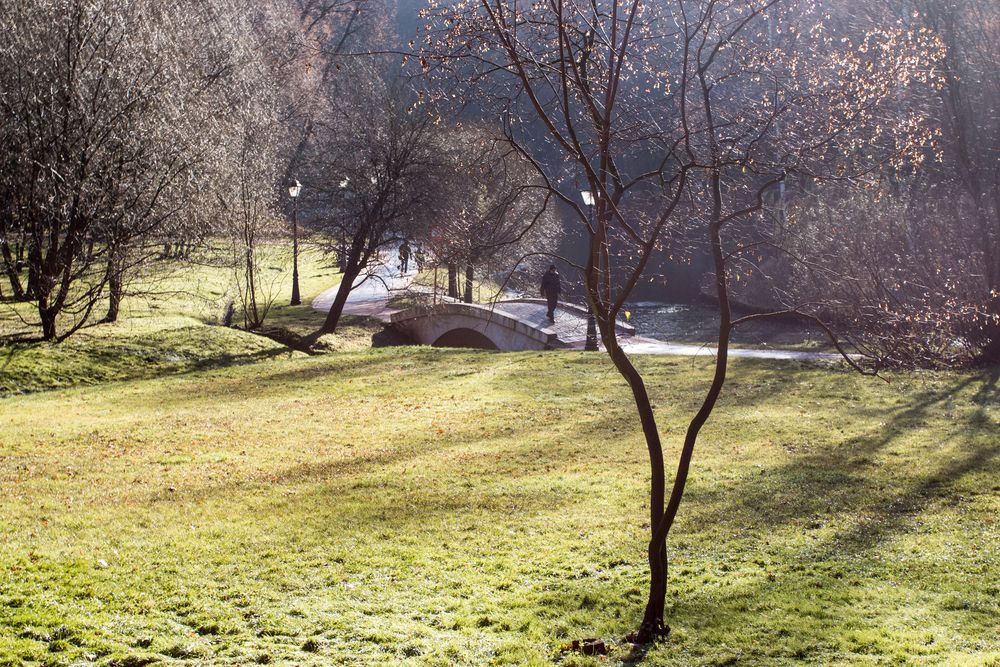 Photograph by Тимофей Черепанов