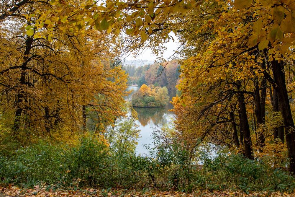 Photograph by Тимофей Черепанов